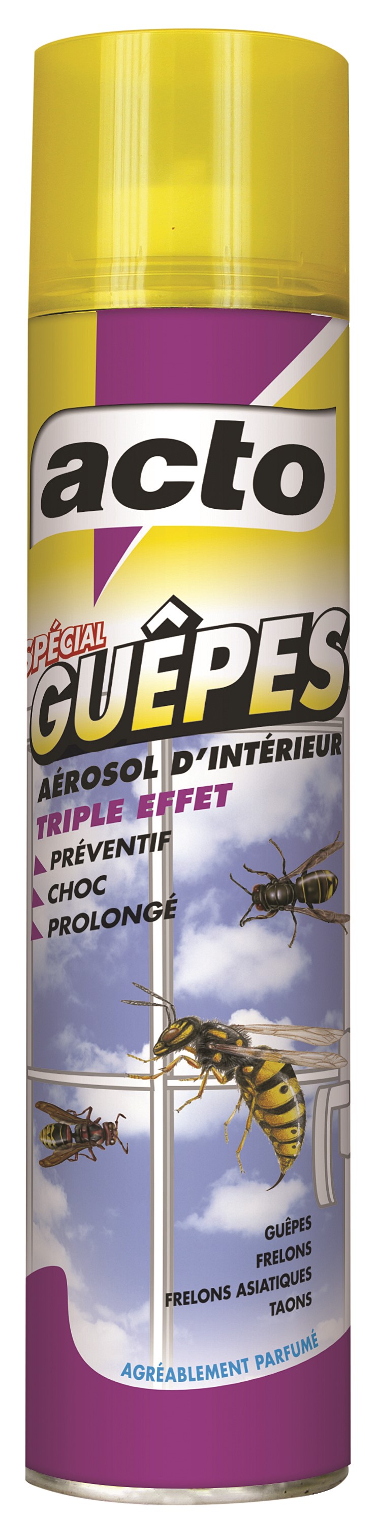 Aérosol Spécial Guêpes